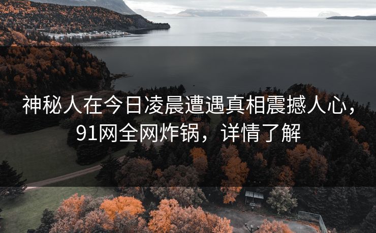 神秘人在今日凌晨遭遇真相震撼人心,91网全网炸锅,详情了解