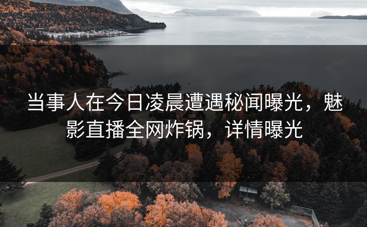 当事人在今日凌晨遭遇秘闻曝光,魅影直播全网炸锅,详情曝光 当事人在今日凌晨遭遇秘闻曝光,魅影直播全网炸锅,详情曝光
