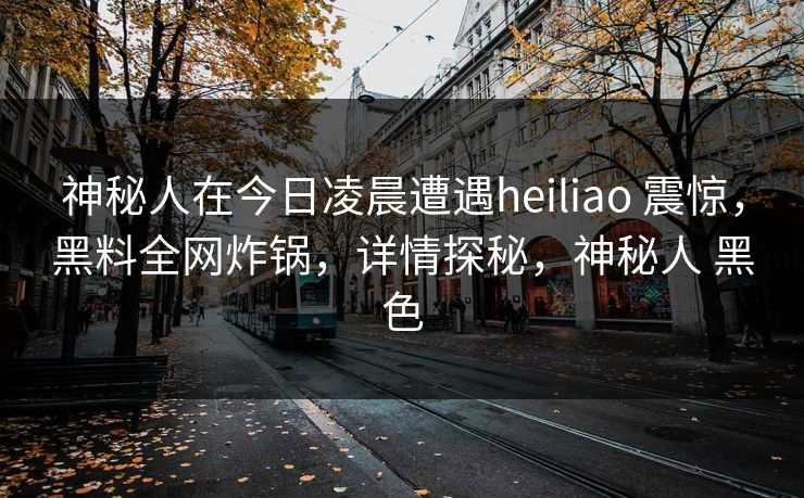神秘人在今日凌晨遭遇heiliao 震惊，黑料全网炸锅，详情探秘，神秘人 黑色