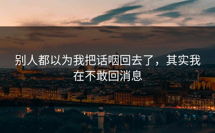 别人都以为我把话咽回去了，其实我在不敢回消息
